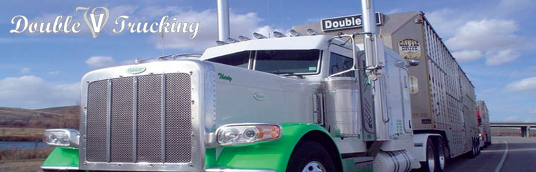 Double V Trucking
